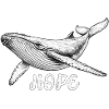 Hope Whale Rescue Hope