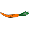 Bright Carrot Silhouette
