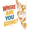 Curious dog, funny look