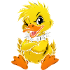 Cute and bold duck