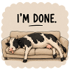 I'm Done – Funny Cow on Sofa