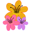 Sun Flowers Garden Flower Flora