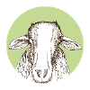 Mouton