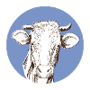 Vache
