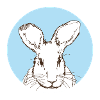Lapin