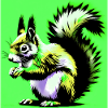 squirrel
