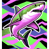 Requin