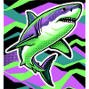 Requin