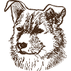 Chien
