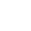 Pilot