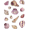 MOULES