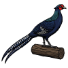 Purple Pheasant Majestic Wilderness