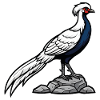 Silver Pheasant Majestic Wild Chic