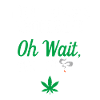 I Don't Always Smoke Weed