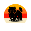 Team Exotic Shorthair Cat