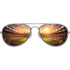 Stadium Sunglasses