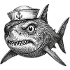 The grumpy Captain Shark