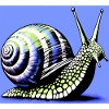 Snail
