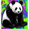 panda