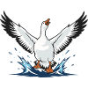 White Domestic Goose Flying Wild Nature