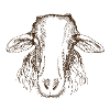 Mouton