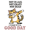 Not in Jail Not Crazy Not Dead Good Day