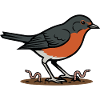 Wild Nature Garden Robin Illustration