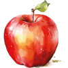 Aquarellapfel – Roter Fruchtakzent