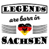 Red Golden Saxon Shield