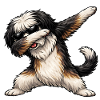 Dabbing Tibetan Terrier