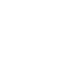 Border Collie "Black Edition"