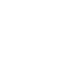 Labrador « Édition Noire »