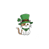 Chat de la Saint-Patrick