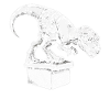 Nageurs de dinosaures nageurs