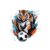 Tiger Football Team