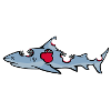 requin