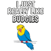 Budgie Love: Really Like Budgies