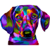 Vivid Prism Pup Portrait