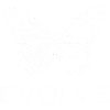 Evolve Butterfly Geometric Line Art