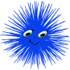 Seeigel 