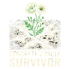 Concrete Jungle Survivor