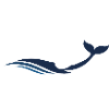 Timmy Wal - Typographie