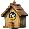 Vogelhaus Blau