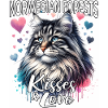 Norwegian Forest Cat Love