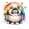 Dwarf Ram Rabbit Gift