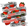 Dreaming of Strawberry_all year long