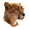 Leopard Head Art Illustration