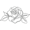 Continuous Line Rose Sketch