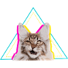 Neon Retro Cat Geometric Triangle Art