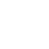 Fleischer